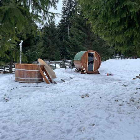 Hotel Floare De Colt Mînăstirea Humorului 外观 照片