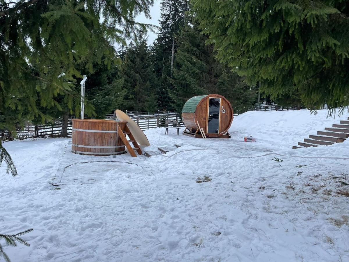 Hotel Floare De Colt Mînăstirea Humorului 外观 照片
