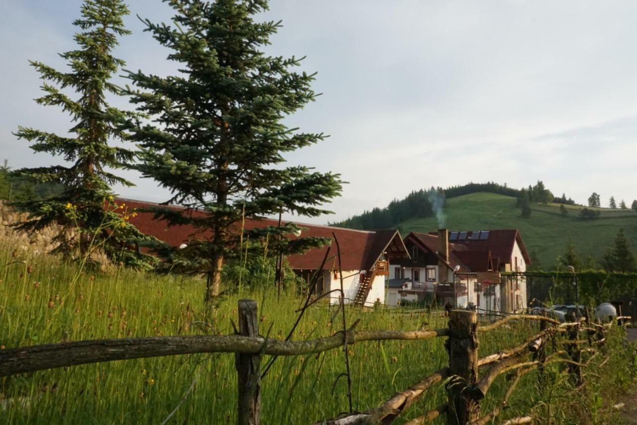 Hotel Floare De Colt Mînăstirea Humorului 外观 照片