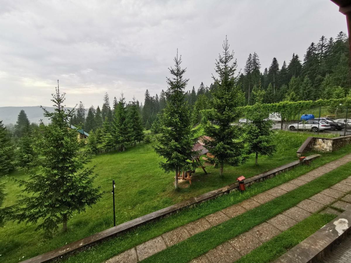 Hotel Floare De Colt Mînăstirea Humorului 外观 照片