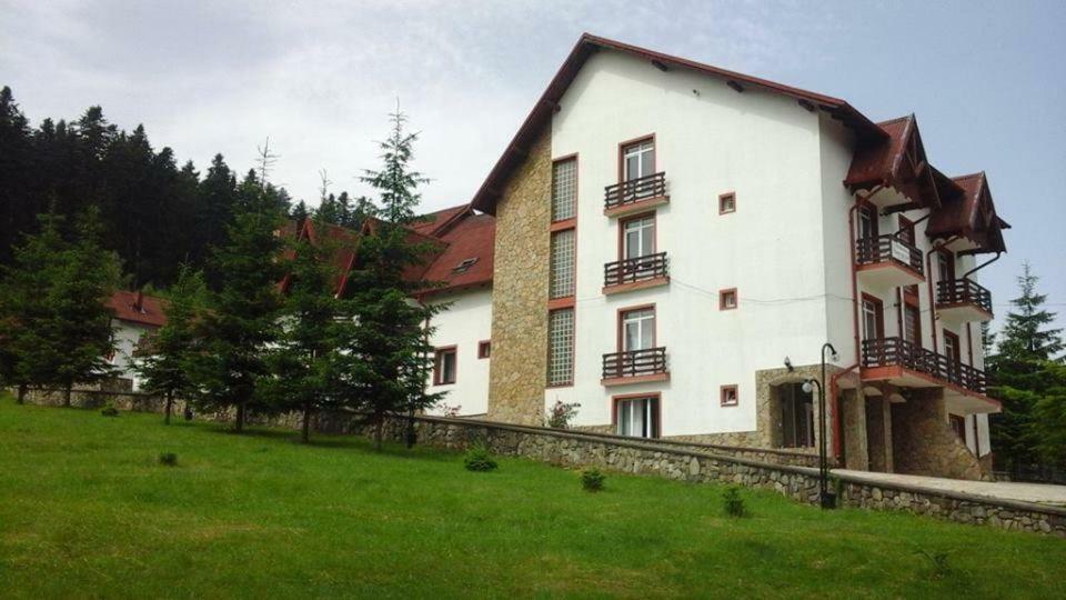Hotel Floare De Colt Mînăstirea Humorului 外观 照片