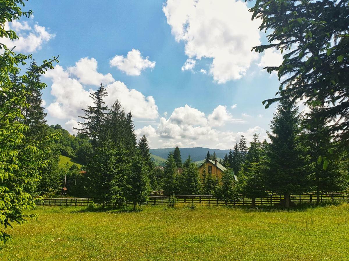 Hotel Floare De Colt Mînăstirea Humorului 外观 照片