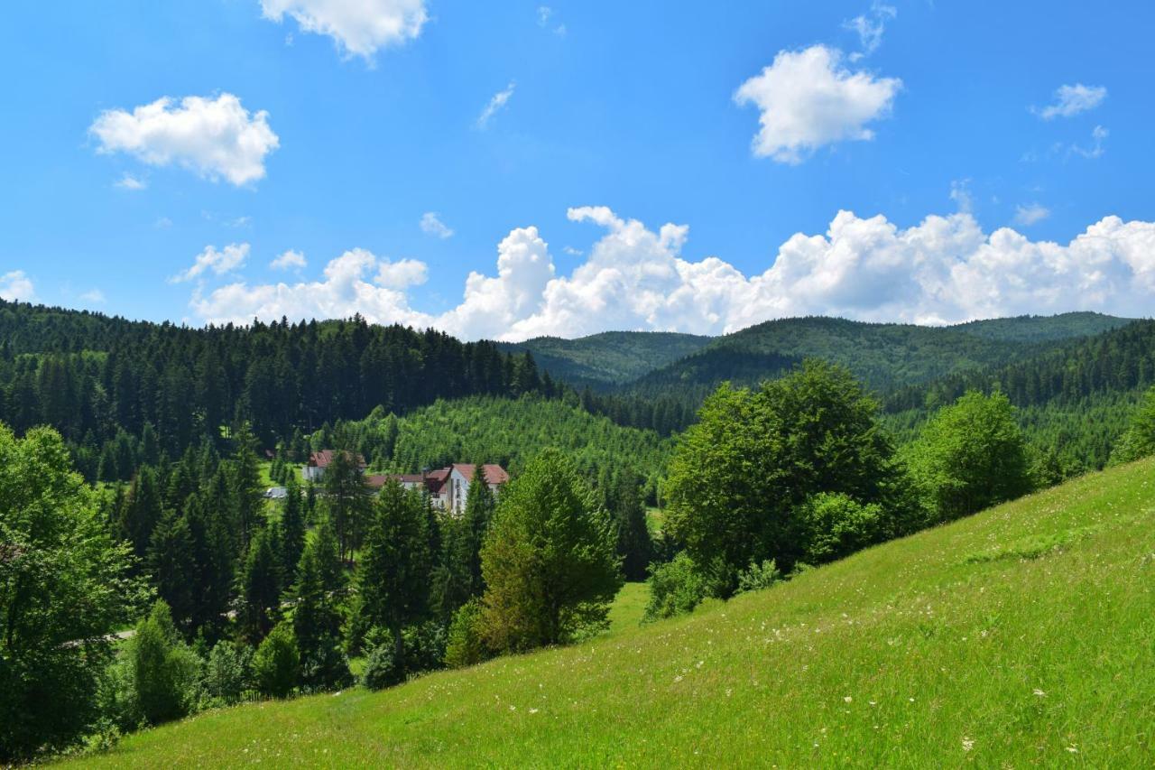 Hotel Floare De Colt Mînăstirea Humorului 外观 照片