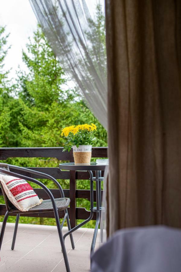 Hotel Floare De Colt Mînăstirea Humorului 外观 照片